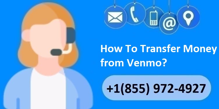 Article about How To Transfer Money from Venmo