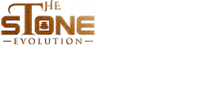 Logo of The stone evolution