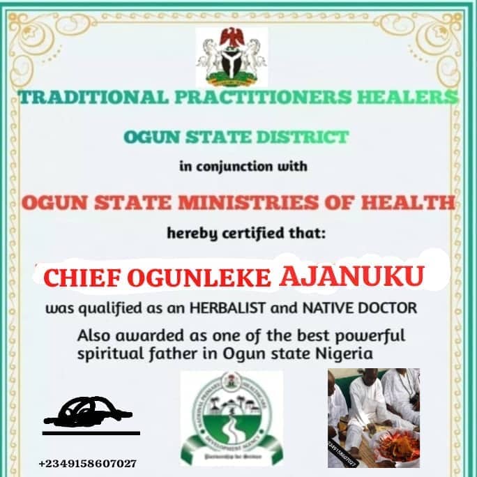 Ogunleke  Ajanuku  activities: Director, , 